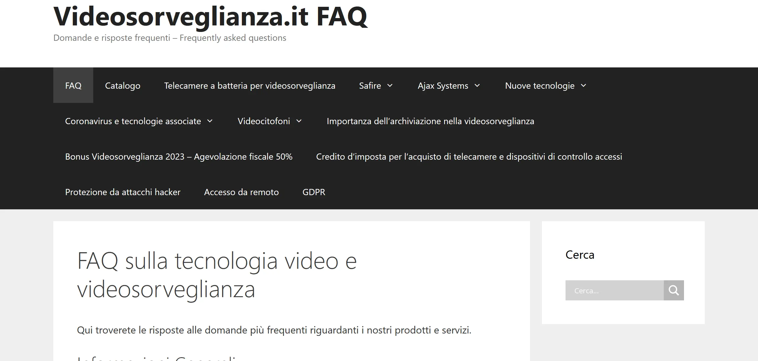 Screenshot of the FAQ website home page videosorveglianza.store